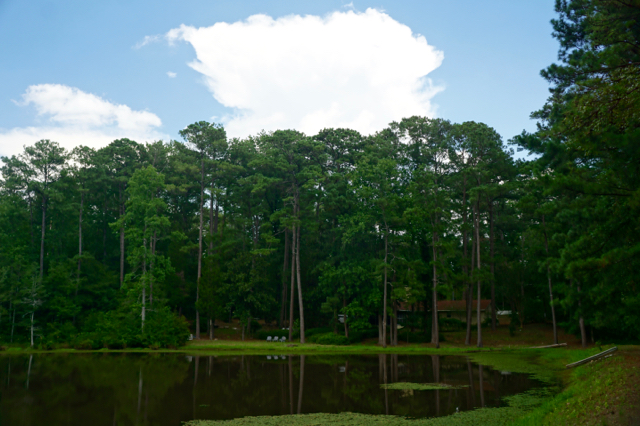 My home on the lake at my Alabama 