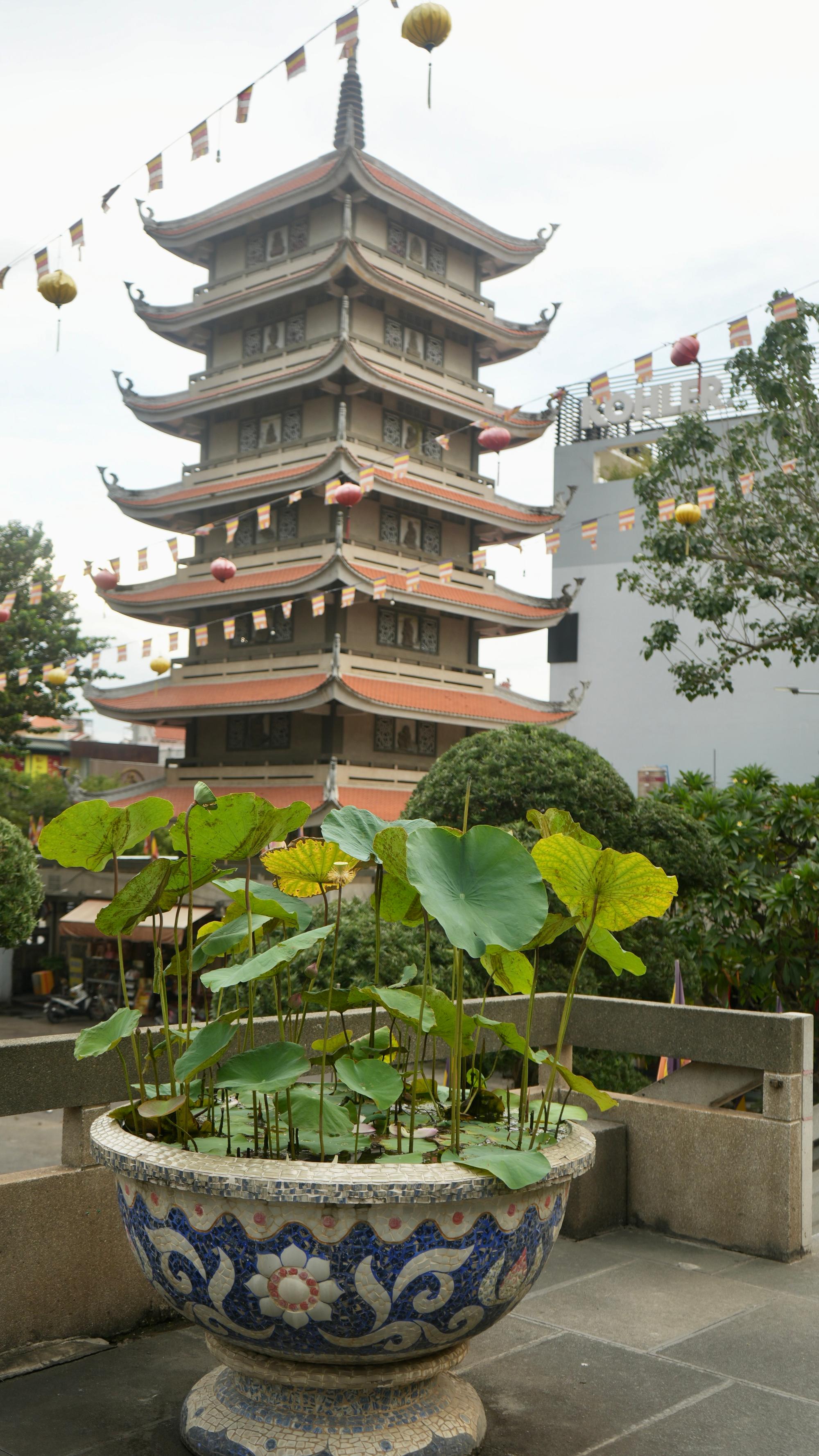 Pagoda and Lotus