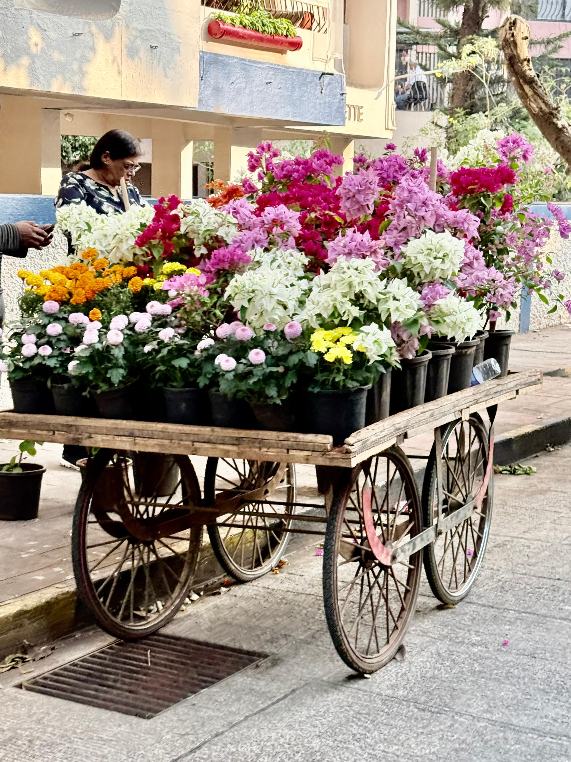 Mobile flower vendor
