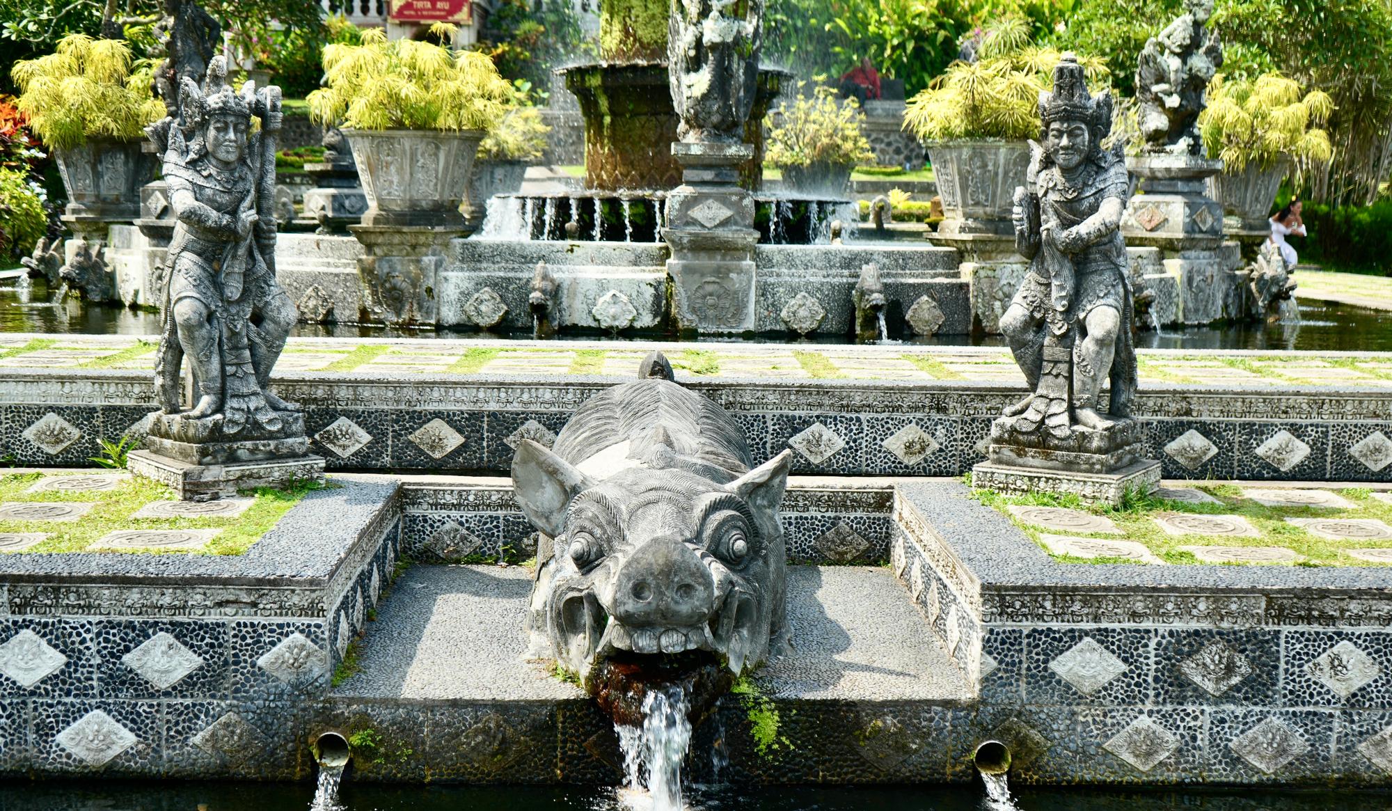 Pig Fountain
