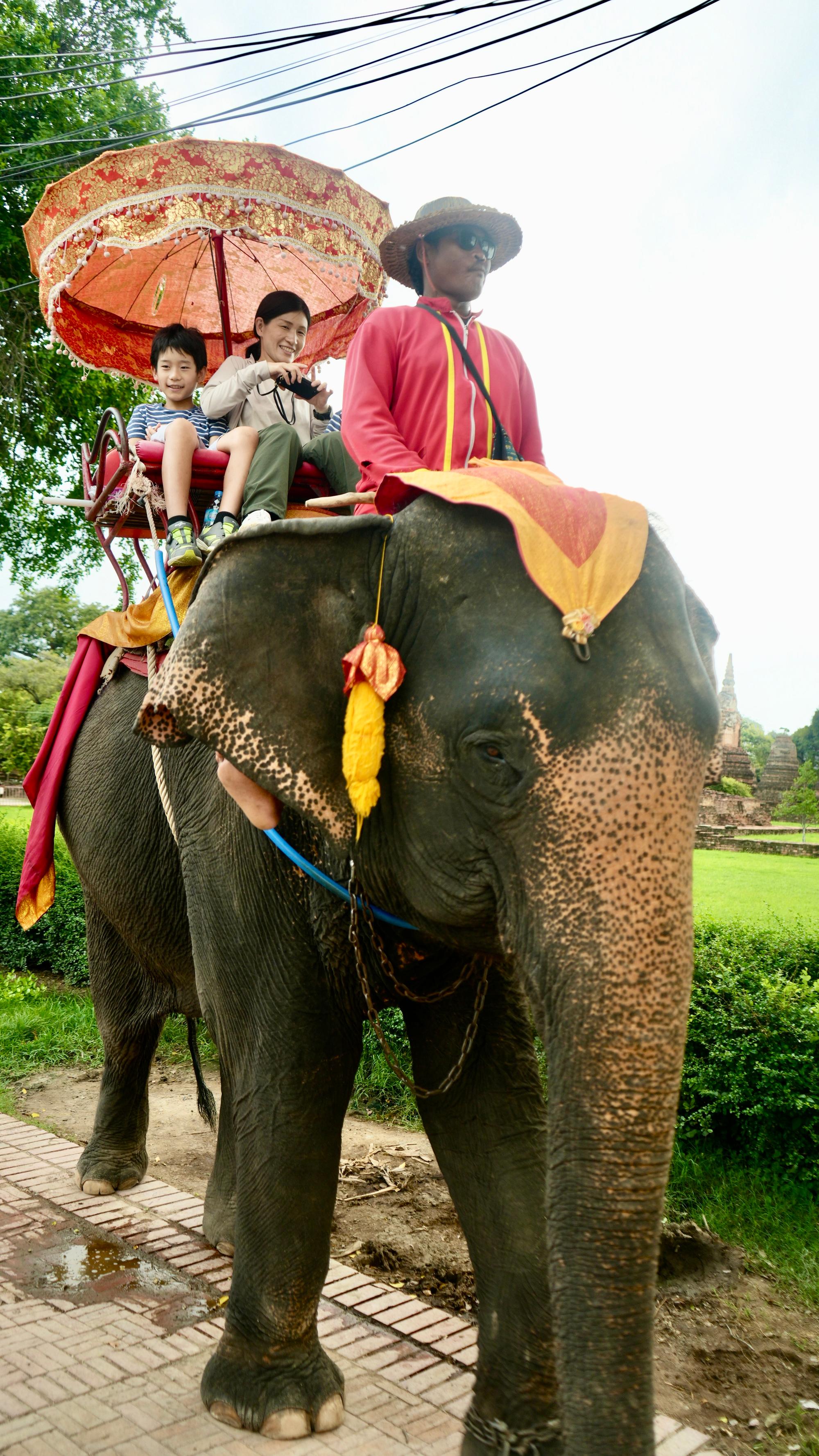 Elephants are used by Thais for many purposes