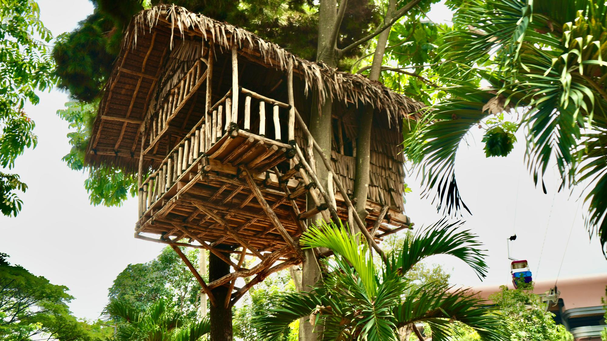 Papua Tree House