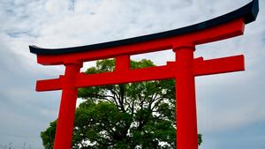 Kyoto Shinto Shrines Intro Image
