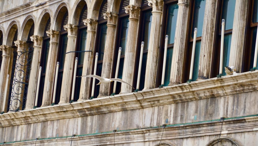 St. Marks Square