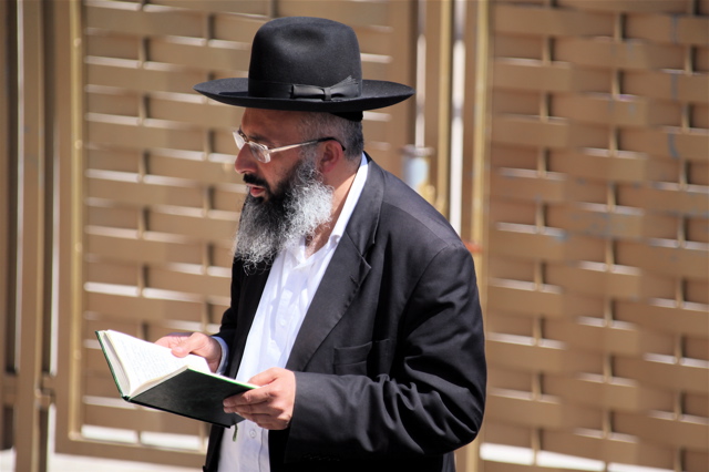 Reading Torah at the Wailing Wall.