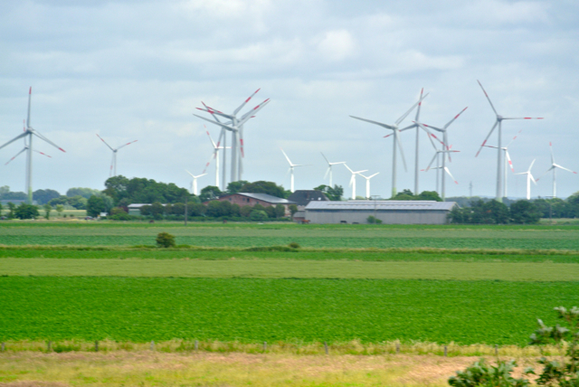 Germany: World Capitol for Biomass Energy