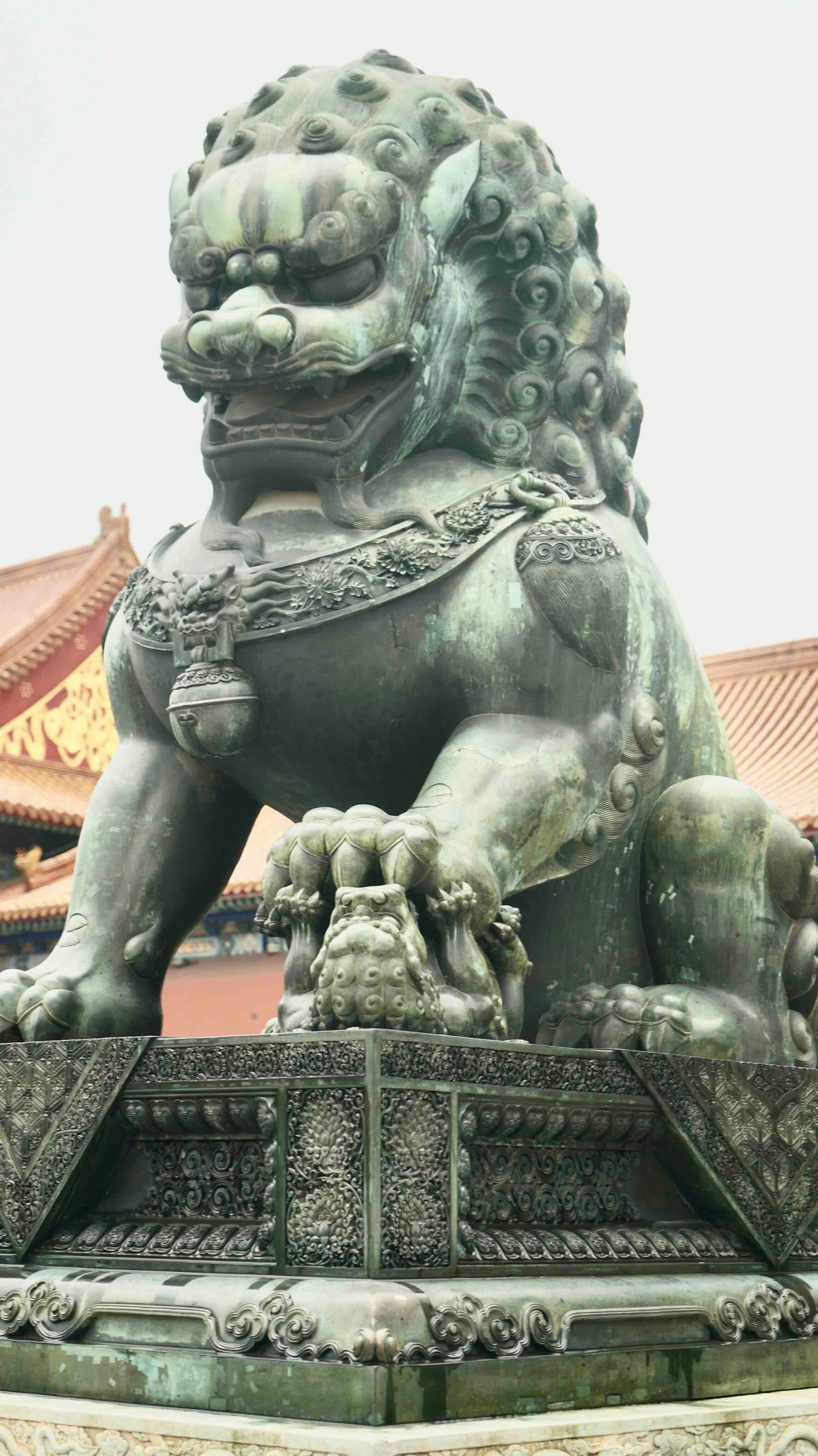 Lion guardian