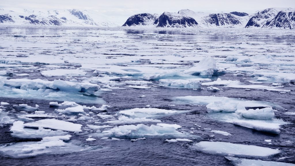 These icebergs are the remnants several hours later of the ice flow shown in the photos above.