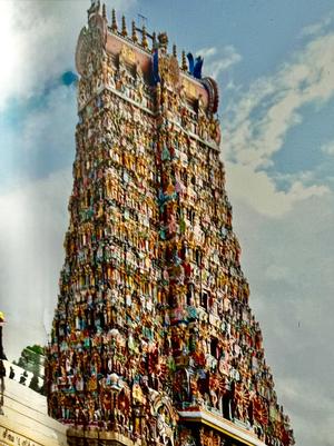 My final India blog of 2025 Intro Image